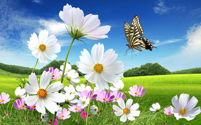 Обои картинки фото разное, компьютерный, дизайн, бабочка, поле, цветы