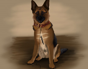 Картинка рисованные животные +собаки взгляд уши