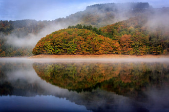 Картинка природа реки озера трава деревья лес олень осень