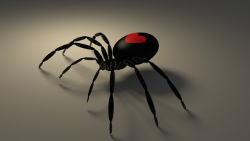 Картинка 3д+графика животные+ animals готика сердце тень паук