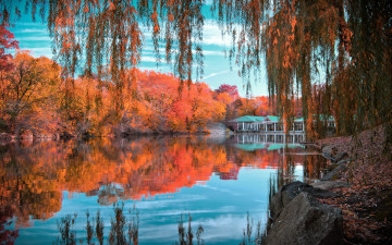 Картинка природа реки озера нью йорк new york central park багрянец листва облака небо камни отражение домик деревья озеро осень центральный парк
