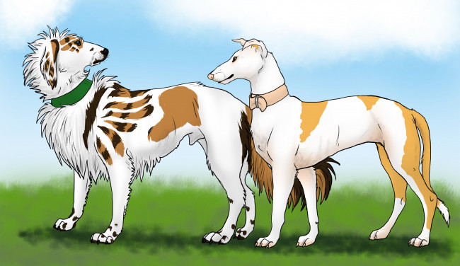 Обои картинки фото рисованные, животные,  собаки, собаки, взгляд, трава