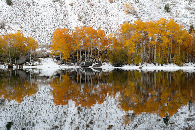 Обои картинки фото природа, реки, озера, озеро, осень, снег, клон, деревья, отражение