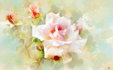 Картинка рисованное цветы текстура бутоны роза