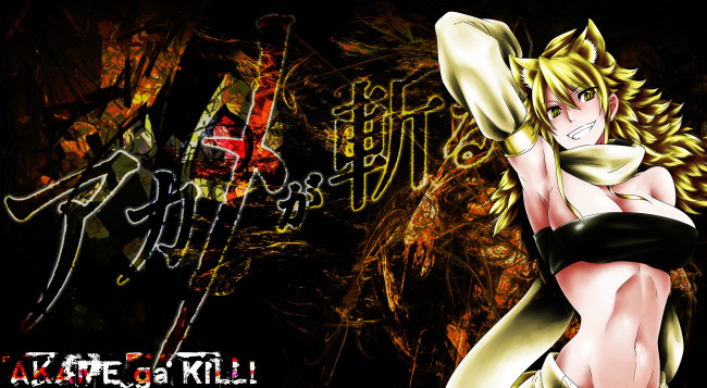 Обои картинки фото аниме, akame ga kill, оборотень, девушка, убийца, акаме, арт