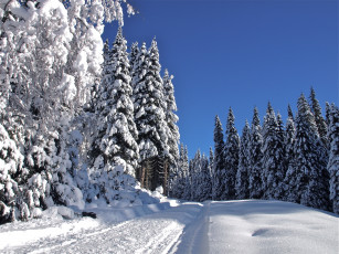 Картинка природа зима деревья дорога пейзаж снег