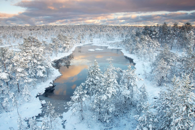 Обои картинки фото природа, реки, озера, лес, зима, река