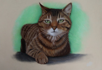 Картинка рисованное животные +коты кот фон
