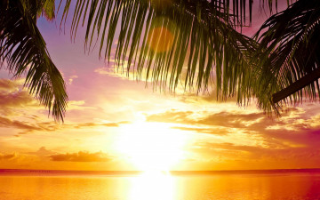 Картинка природа восходы закаты море тропики пляж