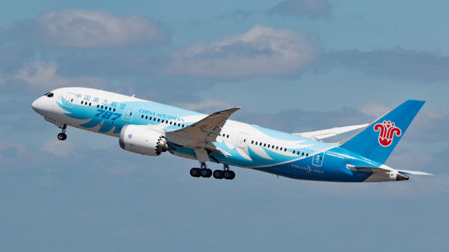 Обои картинки фото boeing 787-8 dreamliner, авиация, пассажирские самолёты, авиалайнер