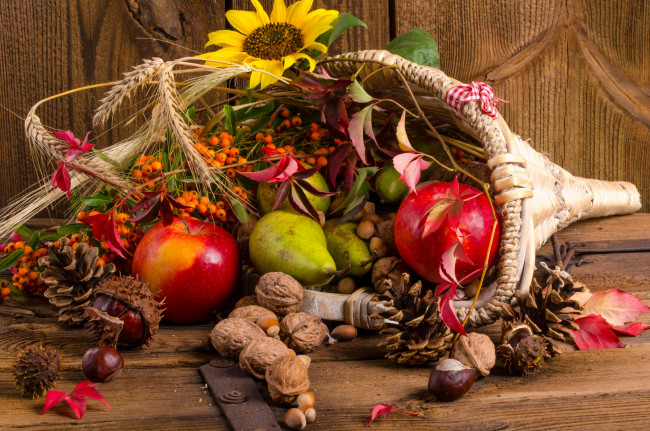 Обои картинки фото еда, натюрморт, шишки, корзинка, рябина, фрукты, орехи, дары, осени