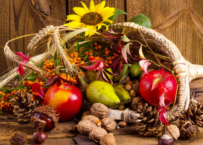 Обои картинки фото еда, натюрморт, фрукты, дары, осени, орехи, корзинка, цветы, шишки, рябина