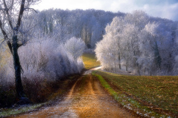 Картинка природа дороги иней деревья дорога