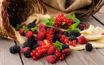 Картинка еда фрукты +ягоды ягоды ежевика малина смородина красная