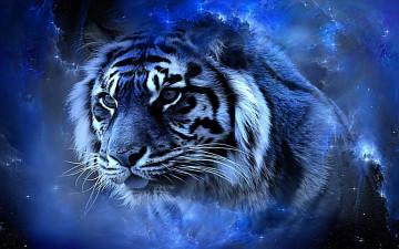 Картинка разное компьютерный+дизайн тигр голова космос синий