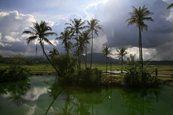 Картинка термальное озеро индонезия природа тропики облака вода пальмы горы