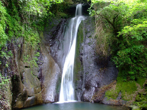 Обои картинки фото природа, водопады, деревья, скала, вода