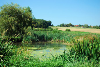 Картинка германия кирхгайм на рисе природа пейзажи водоем поля
