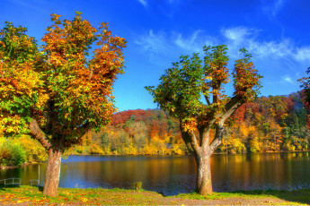 Картинка германия ульмен природа реки озера деревья река дорожка