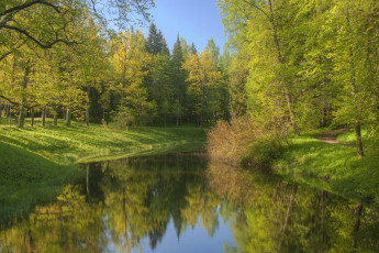 Картинка природа парк водоем деревья