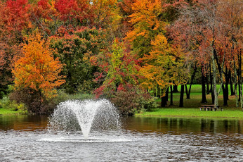 Картинка природа парк фонтан деревья