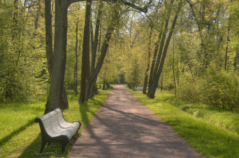 Картинка природа парк скамейка деревья дорожка