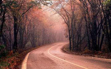 обоя природа, дороги, лес, туман, дорога
