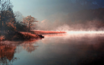 Картинка природа реки озера камыш озеро вечер деревья