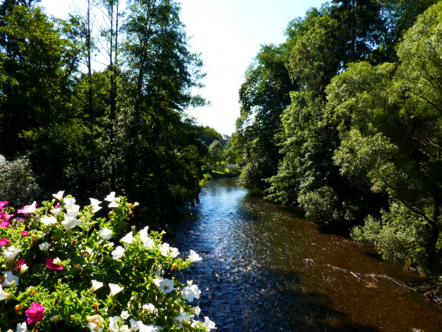Обои картинки фото бельгия, walloon, region, природа, реки, озера, река, цветы, кусты