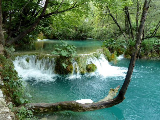 Обои картинки фото плитвицкие, озера, хорватия, природа, водопады, лес, водопад