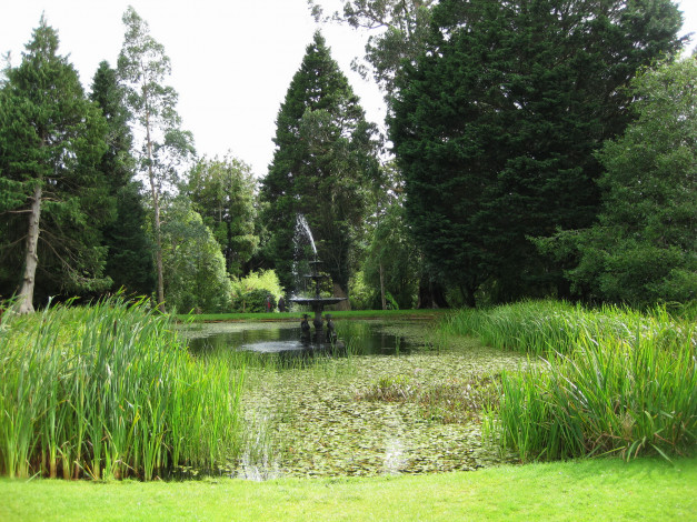 Обои картинки фото powerscourt, gardens, ирландия, эннискерри, природа, парк, сад, водоем, фонтан, деревья