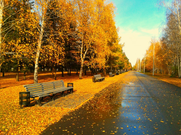 Обои картинки фото природа, парк, осень, омск, скамейки, листья, вечер