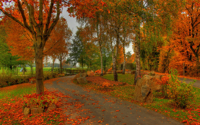 Обои картинки фото германия, гессен, заальбургзидлунг, природа, парк, осень