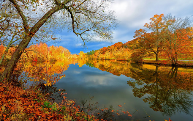 Обои картинки фото природа, реки, озера, деревья, отражение, осень, река