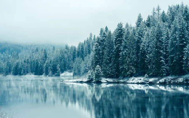 Обои картинки фото природа, реки, озера, озеро, деревья, ели, лес, зима