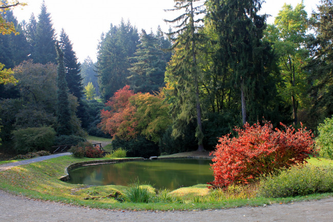 Обои картинки фото Чехия, pruhonice, природа, парк, растения, водоем
