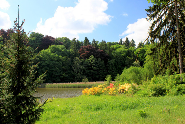 Обои картинки фото Чехия, pruhonice, природа, пейзажи, река, лес, осень