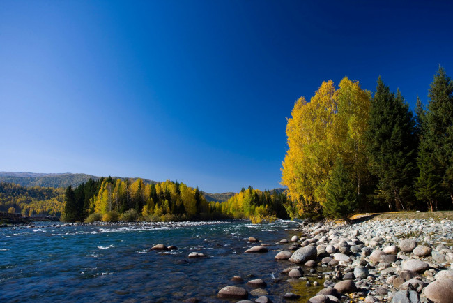 Обои картинки фото природа, реки, озера, камни, лес, река