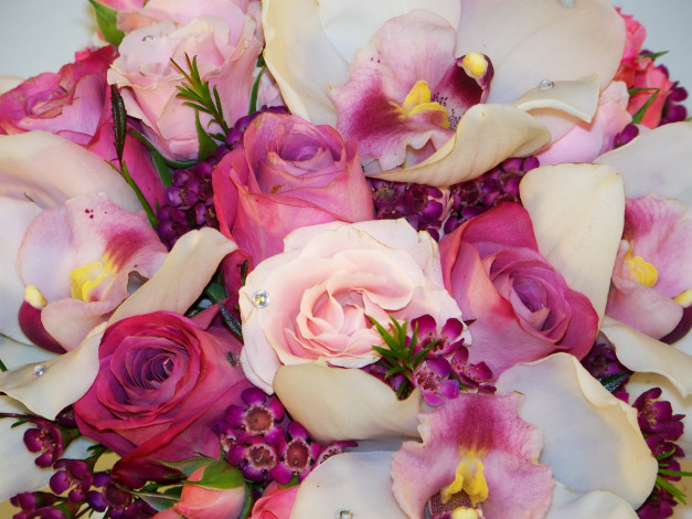 Обои картинки фото цветы, букеты, композиции, фрезии, букет, розы, орхидеи