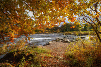Картинка природа реки озера деревья река осень пейзаж листья