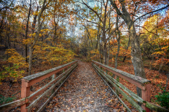 Картинка природа дороги лес осень мостик краски
