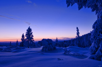 Картинка природа зима облака лес небо снег норвегия закат вечер деревья