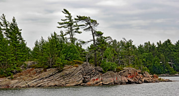 Картинка природа побережье берег лес скалы