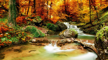 Картинка природа водопады листья водопад осень лес деревья