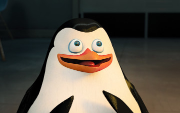обоя мультфильмы, the penguins of madagascar, глаза, клюв, пингвин