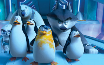 обоя мультфильмы, the penguins of madagascar, глаза, пингвины, клюв