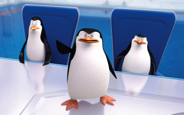 Картинка мультфильмы the+penguins+of+madagascar пингвины клюв глаза