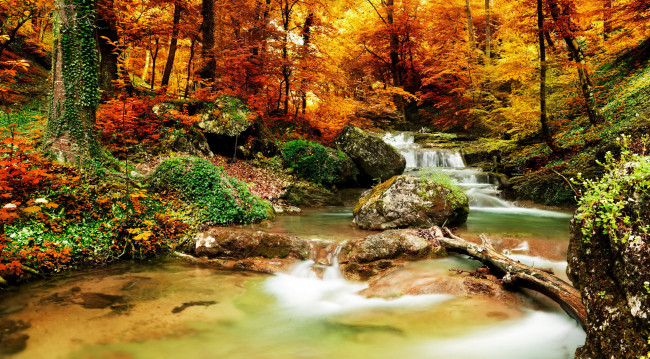 Обои картинки фото природа, водопады, листья, водопад, осень, лес, деревья