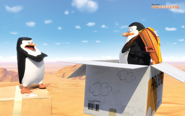 Обои картинки фото мультфильмы, the penguins of madagascar, клюв, пингвины, глаза