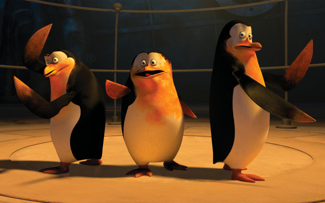 Обои картинки фото мультфильмы, the penguins of madagascar, клюв, глаза, пингвины
